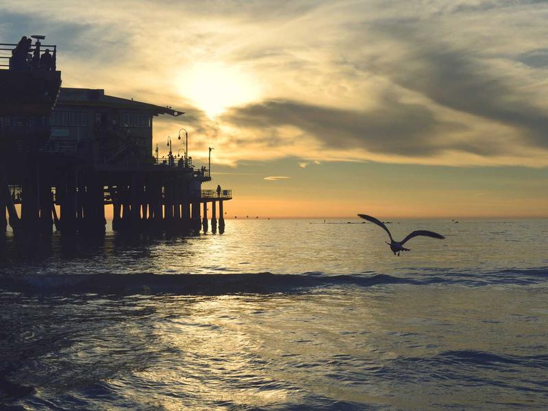 小镇做题家<br>axbyeqm.cn 985废物引进计划